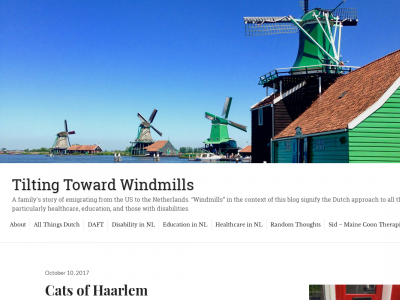 Tilting Toward Windmills