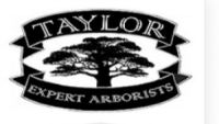 Taylor Expert Arborists