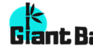 Giant Bamboo – Local SEO Agency in Javea