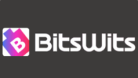 BitsWits - Mobile App Development Company Miami