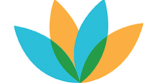 Dolphin Beach Resort