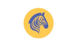 Zèbre Bleu Neuropsychologie