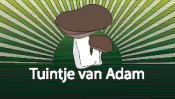 Tuintje van Adam