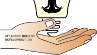 strategic holistic development