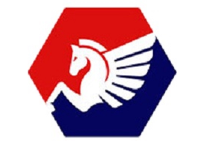 Pegasus Appliance Repair