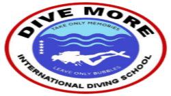 Dive More Group