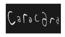 Caracara Concept Pte Ltd