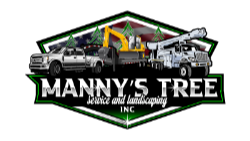Manny’s tree service inc and landscape