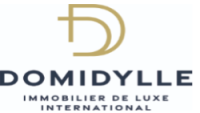 DOMIDYLLE INTERNATIONAL LTD