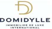 DOMIDYLLE INTERNATIONAL LTD