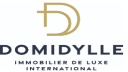 DOMIDYLLE INTERNATIONAL LTD