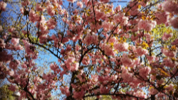 Mélissa Heidmann - Hypnose intégrative et Coaching