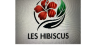 Complexe Scolaire Les Hibiscus
