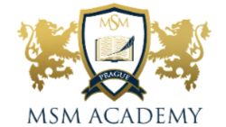 MSM Academy