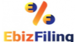 EbizFiling India Private Limited