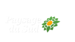 Paysage du Sud