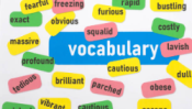 Bronwyn's Online English teaching
