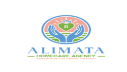 ALIMATA AGENCY LLC