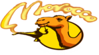 Magic Lamp Expeditions