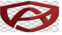 Ergo Insurance Advisor