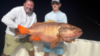Costa Rica Fishing Experts