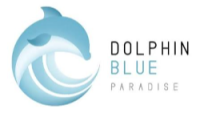 Dolphin Blue Paradise