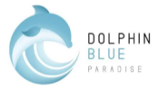 Dolphin Blue Paradise