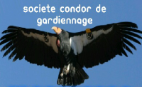 Societe Condor de Gardiennage