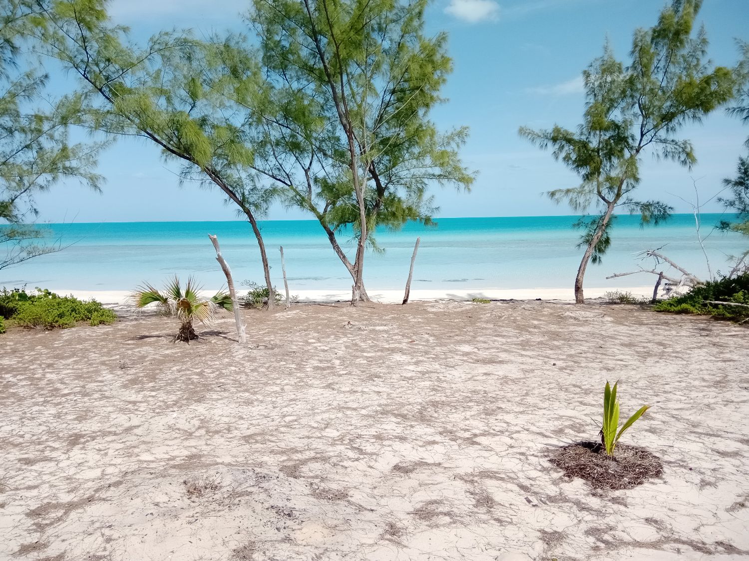 Current Island off grid semi private island project on generation property