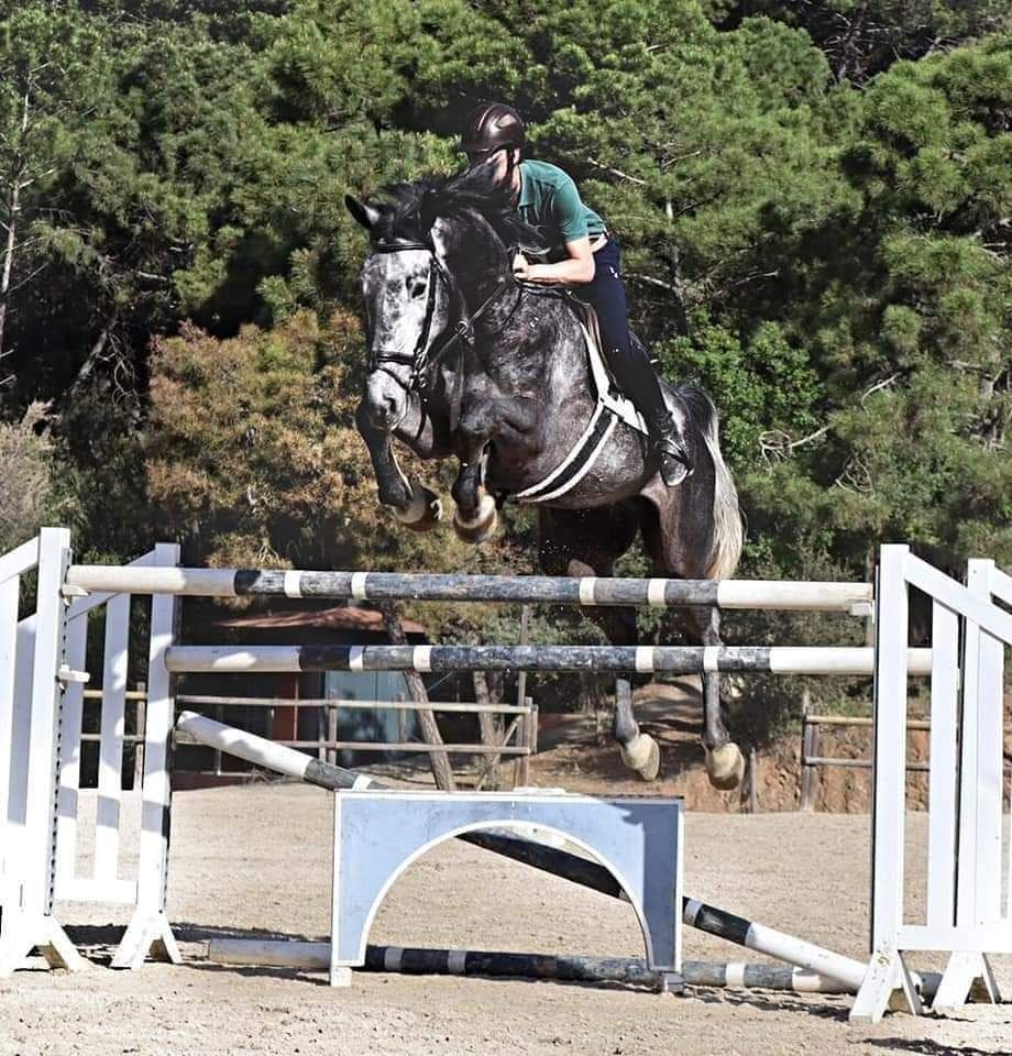CORSI DI EQUITAZIONE - Nadria Sporthorses