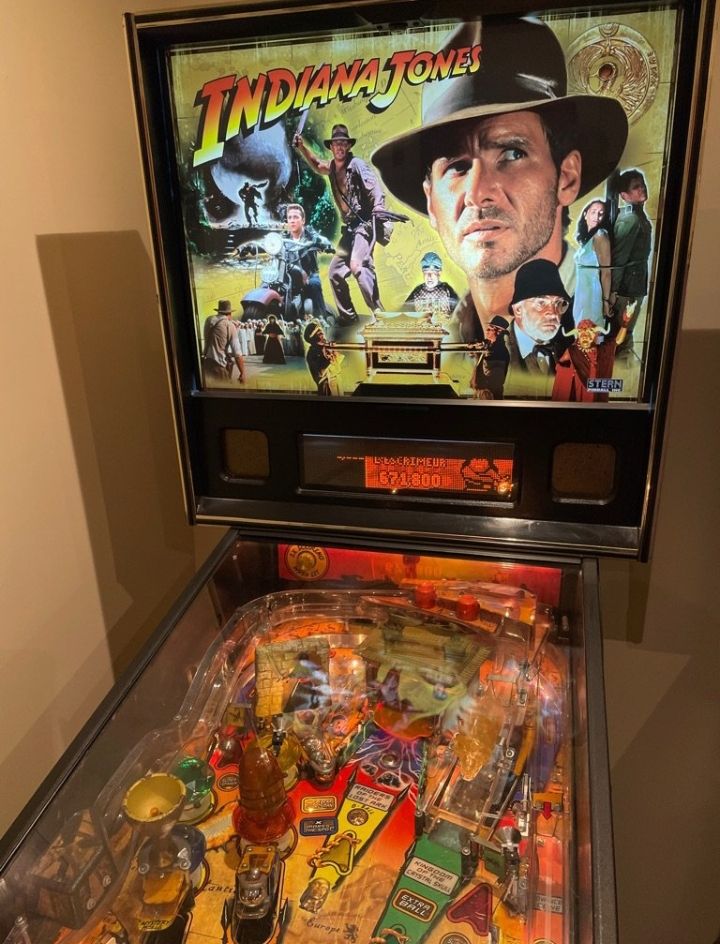 Flipper di Indiana Jones