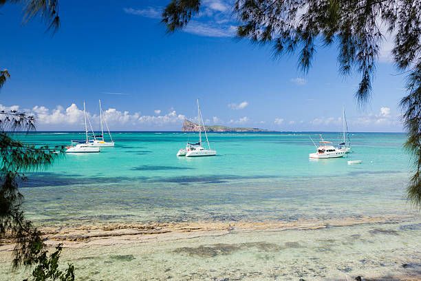 Licensed Online Tour Operator in Mauritius