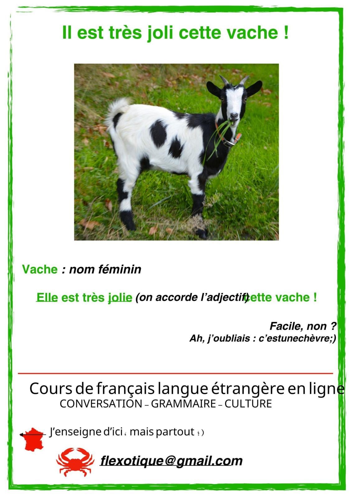 French class online with native