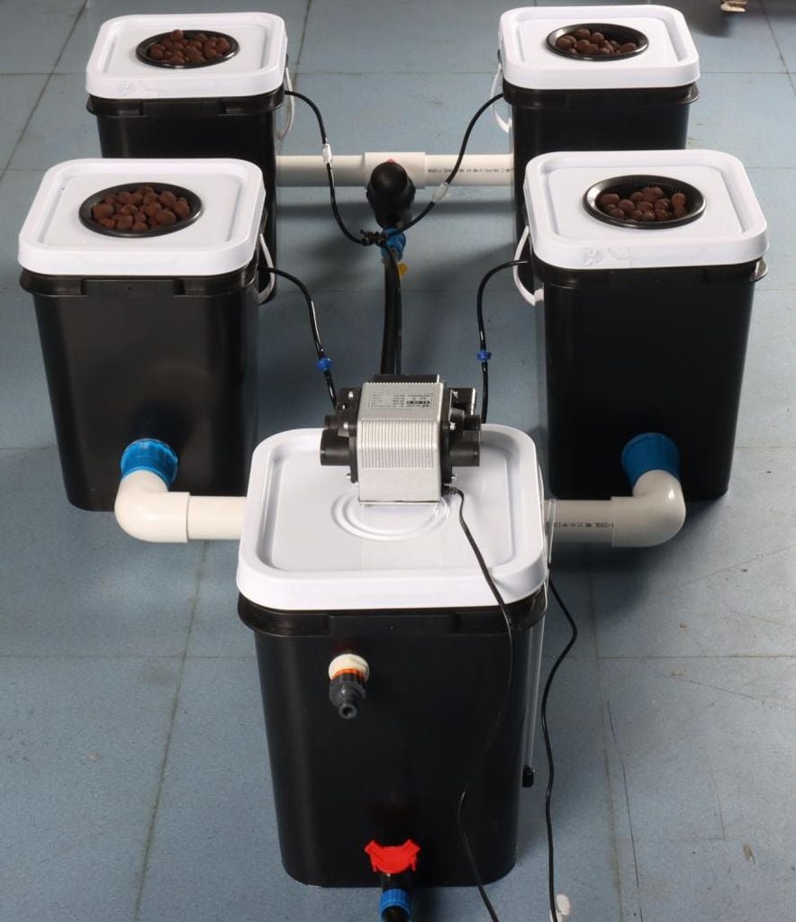 Système Hydroponique Néerlandais en eau Profonde