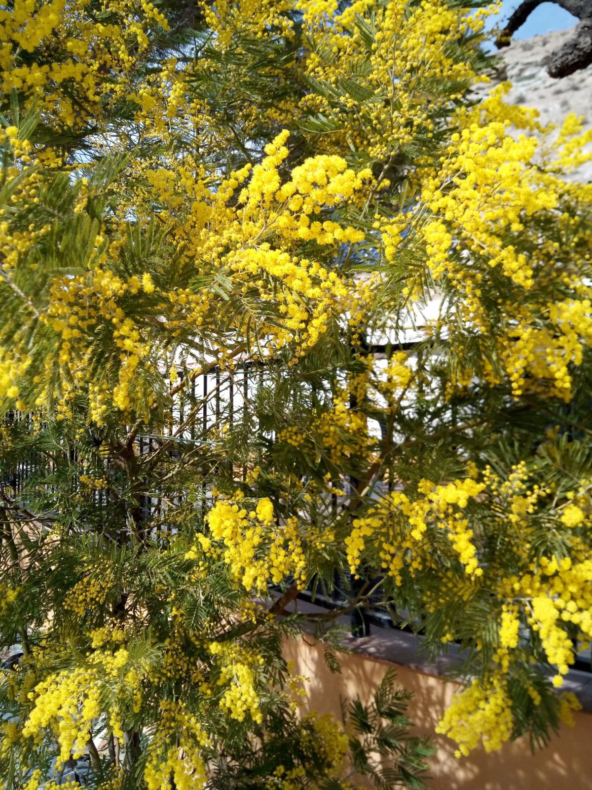  Share a ride from Cúllar or Granada area to London 