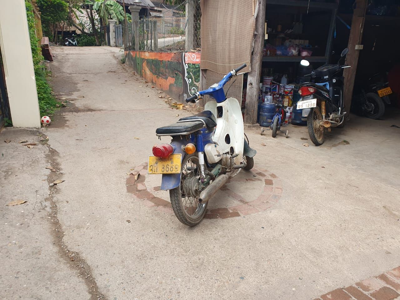 For Sale: Honda Cub 50 – Classic Collector's Motorcycle