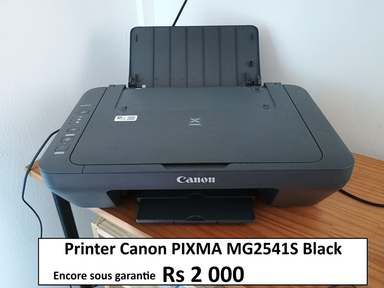 Canon PIXMA MG2541S printer
