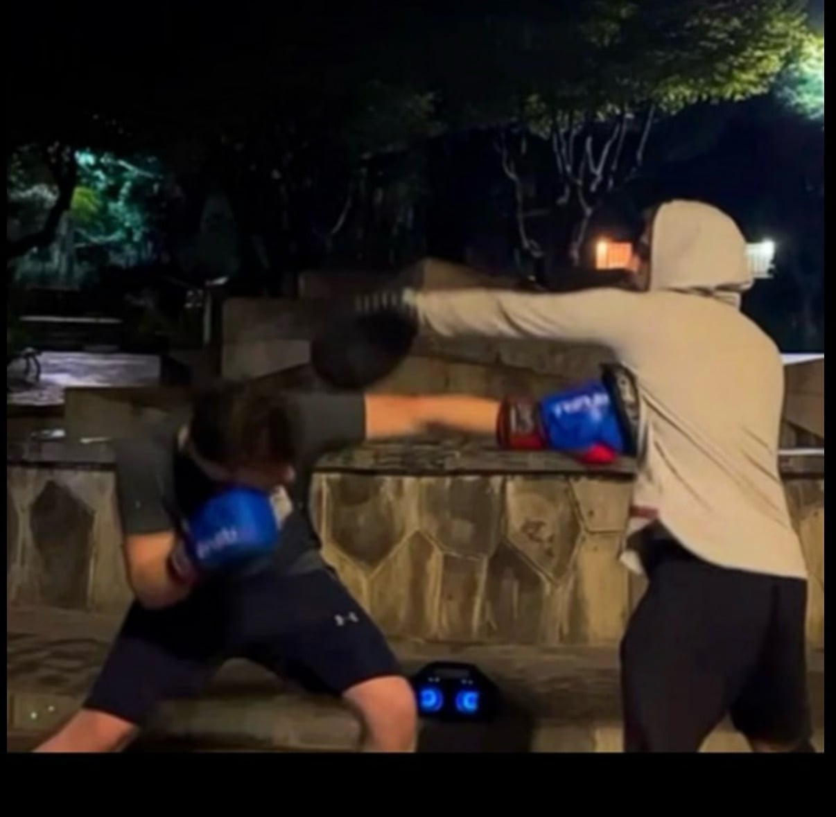 Elite Kickboxing & Fitness Coaching in Grand Baie