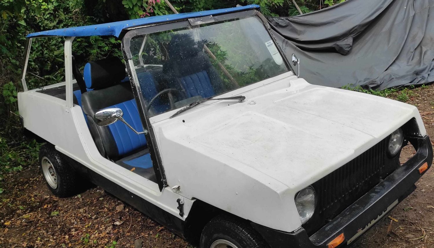 Reliant Classic Car