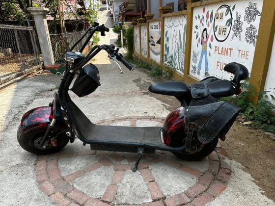 Electric bike for sale