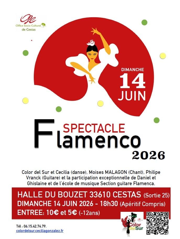 ESPECTACULO DE FLAMENCO