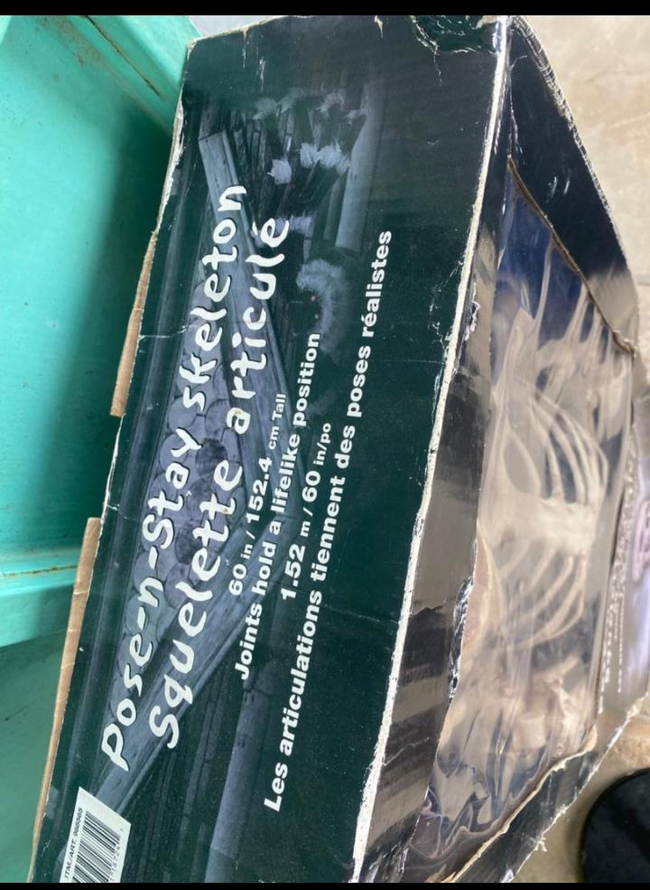 Squelette articulés