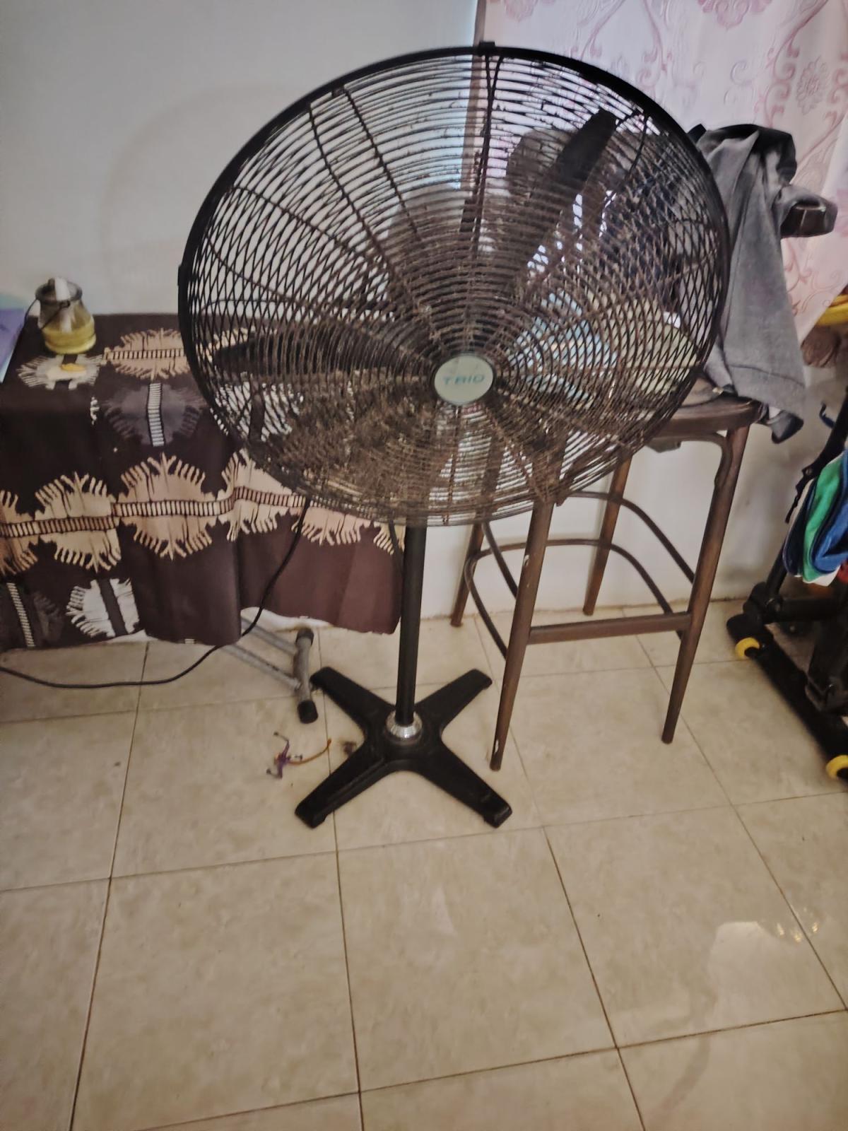 ventilateur puissant marque trio