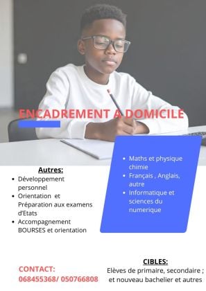 cours à domicile / en ligne pour devenir meilleur en maths , physique , informatique , français et préparer ses examens