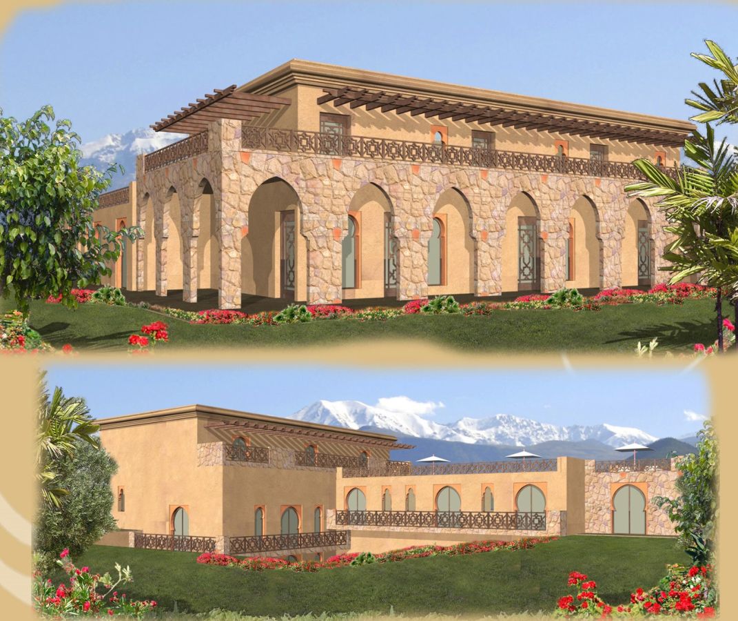 Densité plantation olivier image