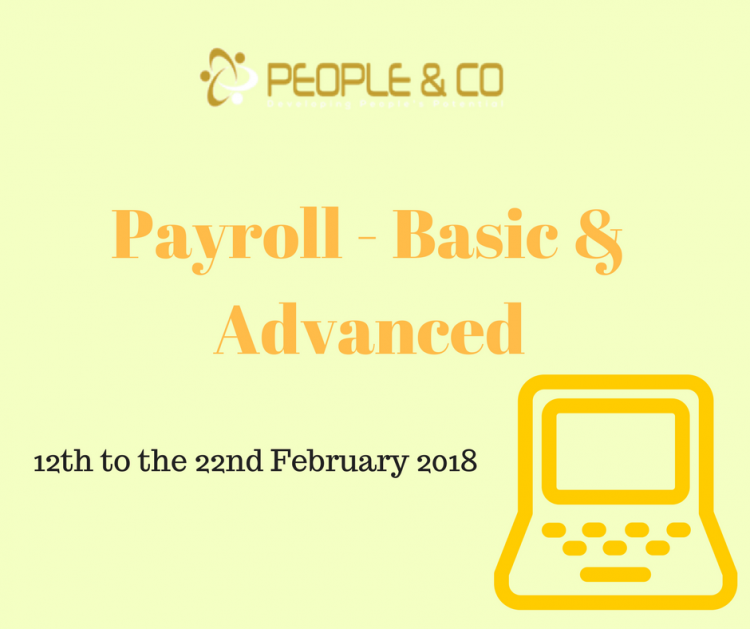 Payroll - Basic & Advanced