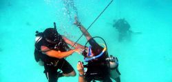 Scuba Diving Free diving