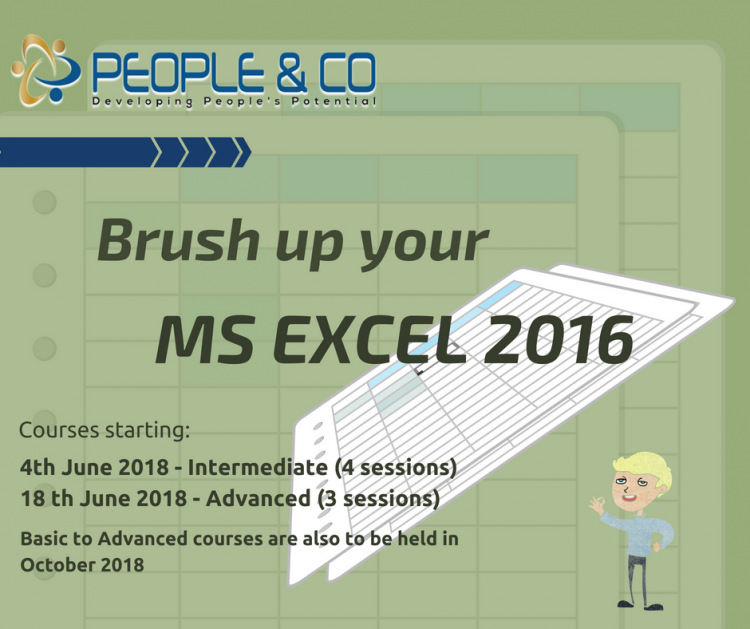 MS Excel 2016 - Intermediate