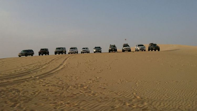 Desert Safari and Dunes Bashing trip to Alasfar Lake!