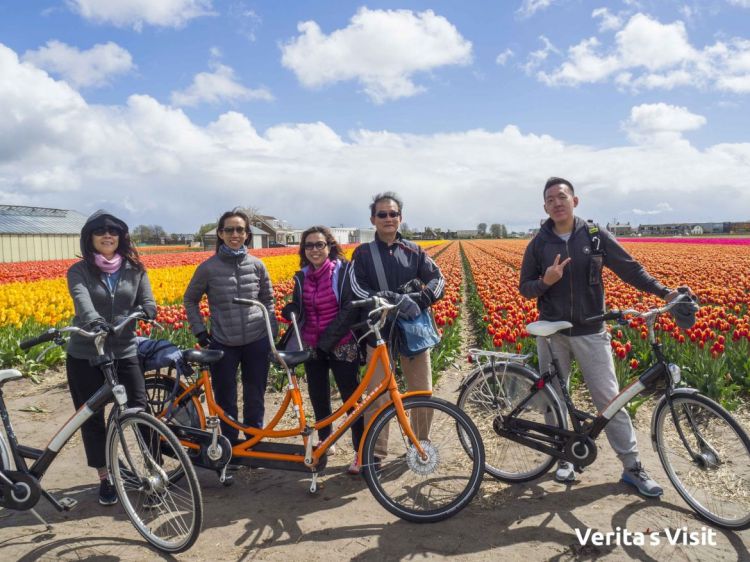 Tulip field bike tour plus visit bulb farm